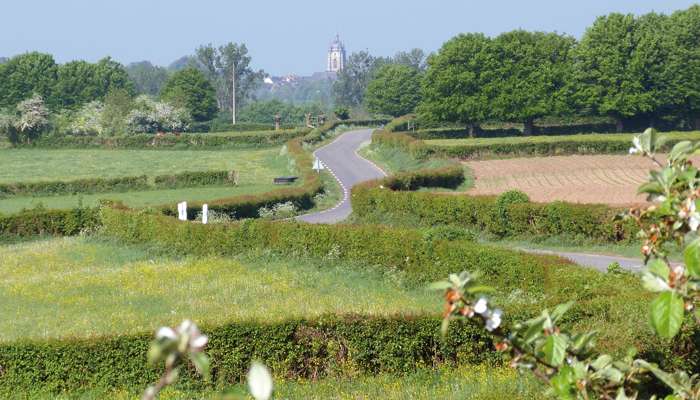 Des légumes bio pour redonner dignité à la terre familiale 