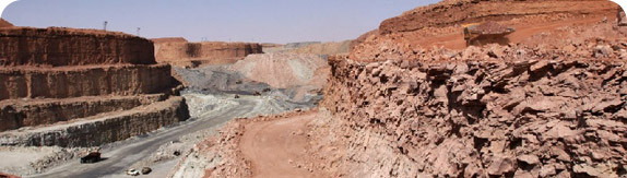 areva-niger-bio-info