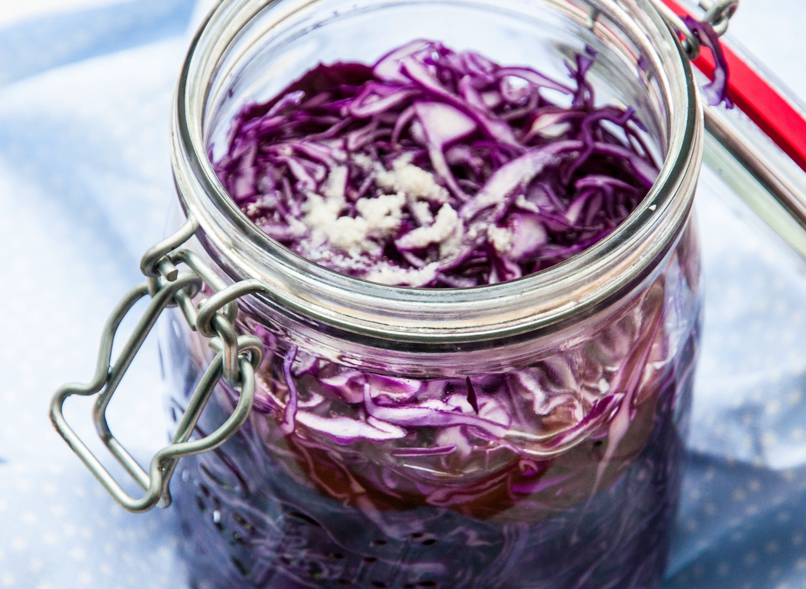 lactofermentation-karen-chevallier-cuisine-saine-bio-info